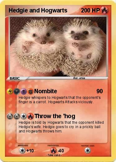 Pokemon Hedgie and Hogwarts
