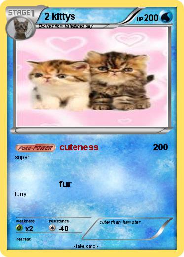 Pokemon 2 kittys