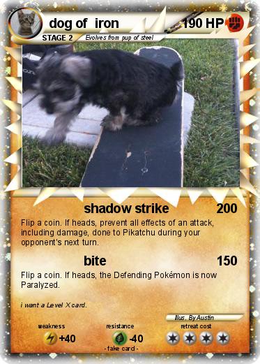 Pokemon dog of  iron