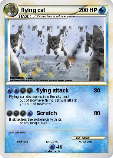 Pokemon flying cat