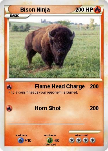 Pokemon Bison Ninja