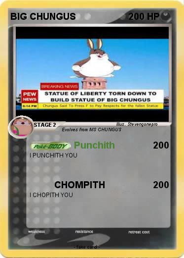 Pokemon BIG CHUNGUS