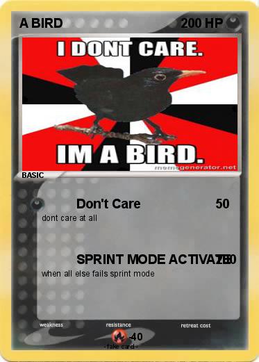 Pokemon A BIRD