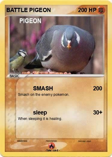 Pokemon BATTLE PIGEON
