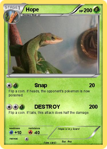 Pokemon Hope