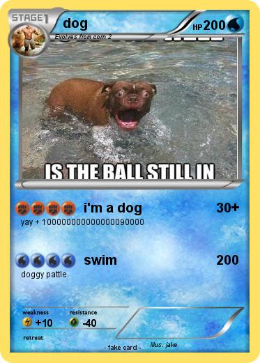 Pokemon dog
