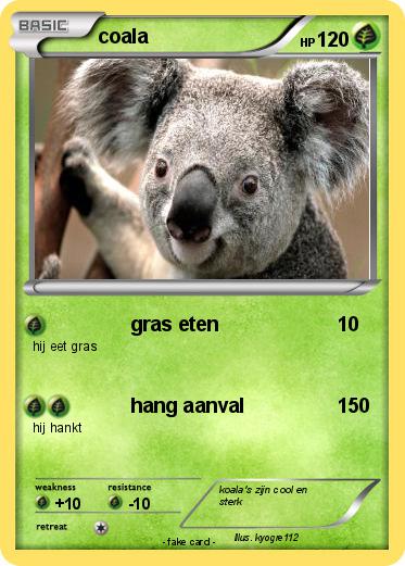 Pokemon coala