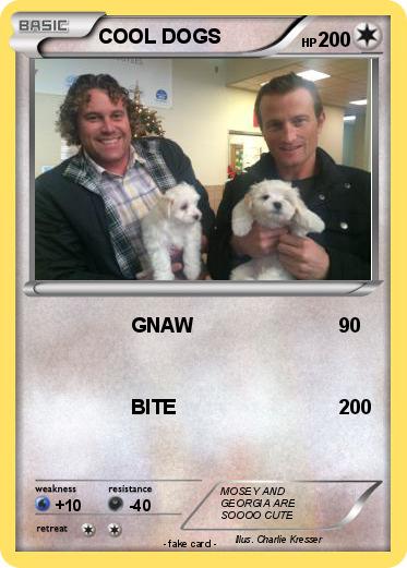 Pokemon COOL DOGS