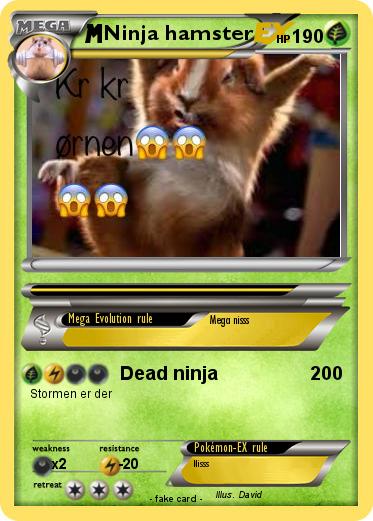 Pokemon Ninja hamster