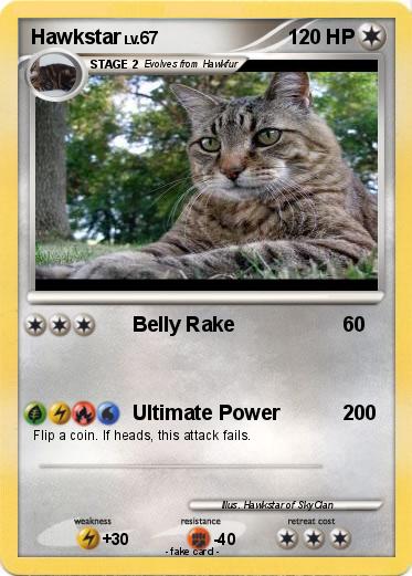 Pokemon Hawkstar