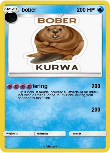 Pokemon bober