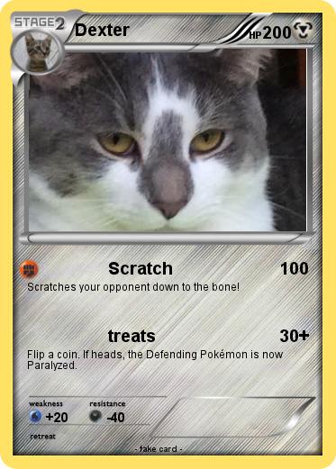 Pokemon Dexter