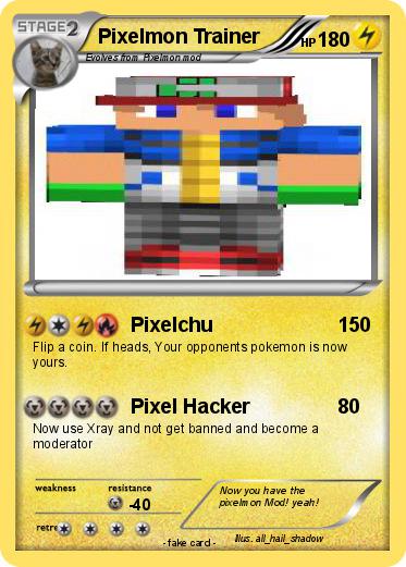 Pokemon Pixelmon Trainer