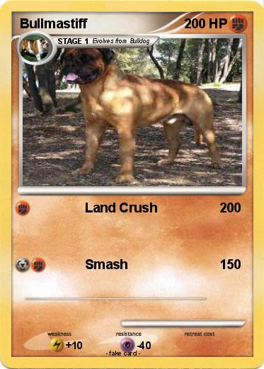 Pokemon Bullmastiff