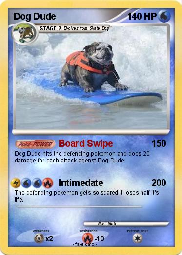 Pokemon Dog Dude
