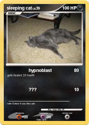 Pokemon sleeping cat