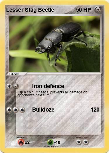 Pokemon Lesser Stag Beetle