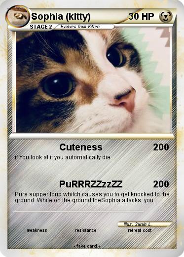 Pokemon Sophia (kitty)