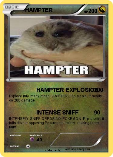 Pokemon HAMPTER