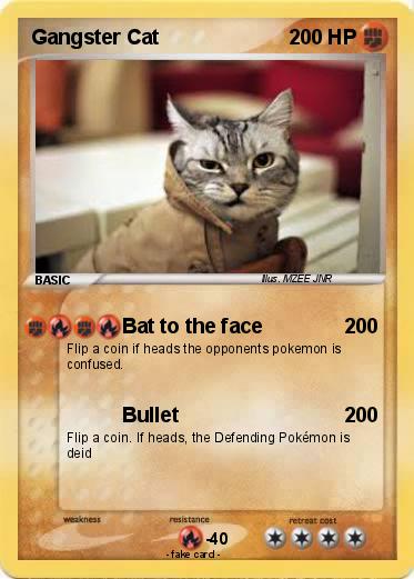 Pokemon Gangster Cat
