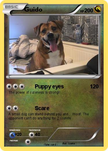 Pokemon Guido