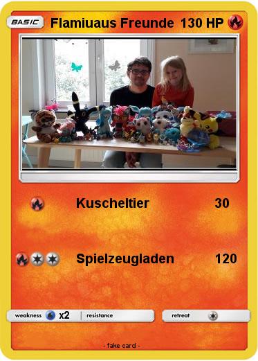 Pokemon Flamiuaus Freunde