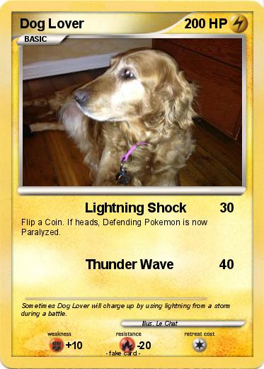 Pokemon Dog Lover
