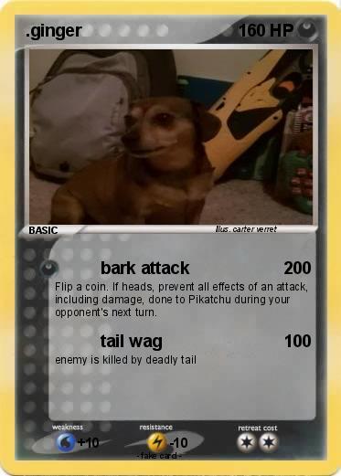 Pokemon .ginger