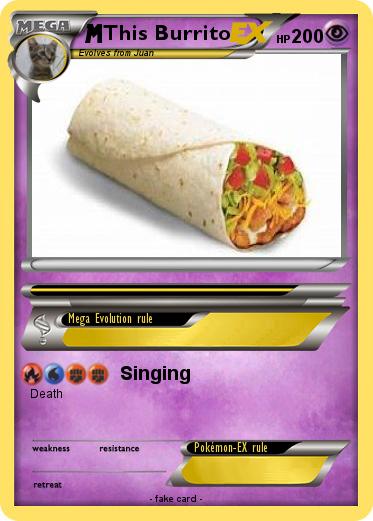 Pokemon This Burrito