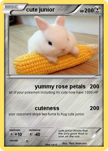 Pokemon cute junior