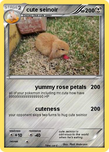 Pokemon cute seinoir