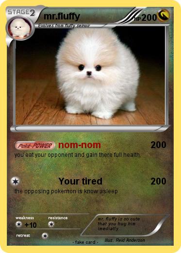 Pokemon mr.fluffy