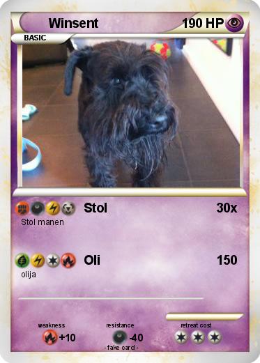 Pokemon Winsent