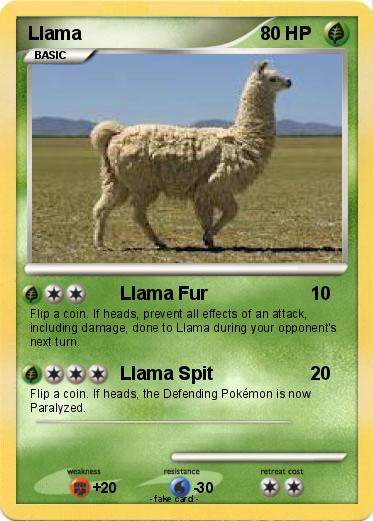 Pokemon Llama