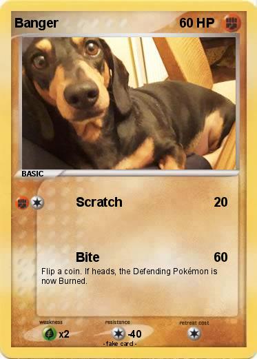 Pokemon Banger