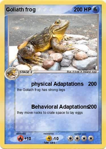 Pokemon Goliath frog