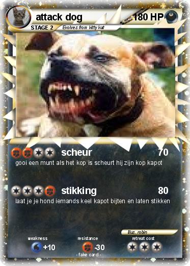 Pokemon attack dog