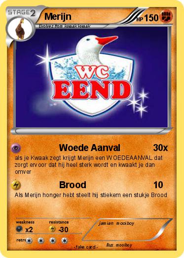 Pokemon Merijn