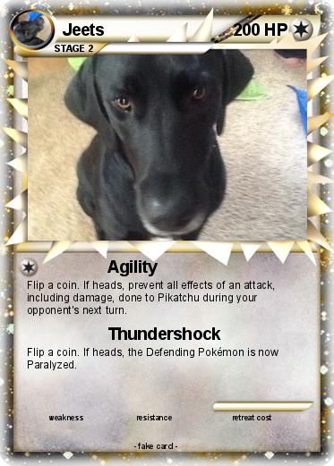 Pokemon Jeets