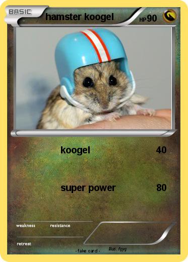 Pokemon hamster koogel