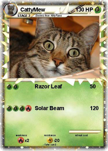 Pokemon CattyMew
