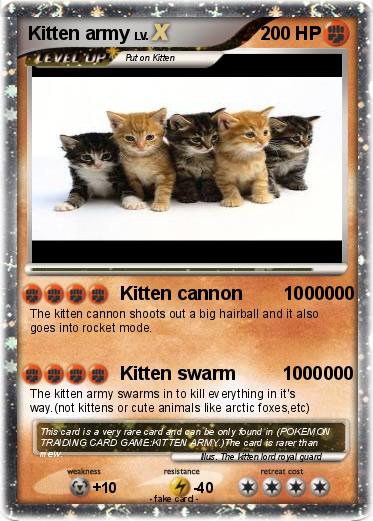 Pokemon Kitten army
