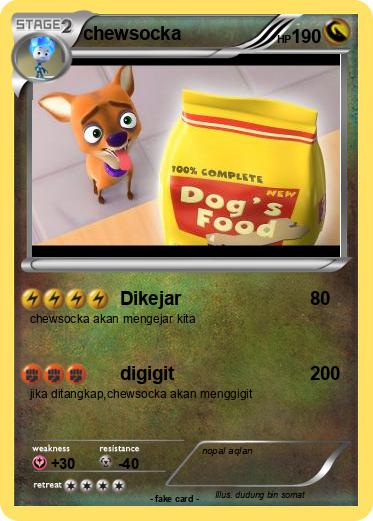 Pokemon chewsocka