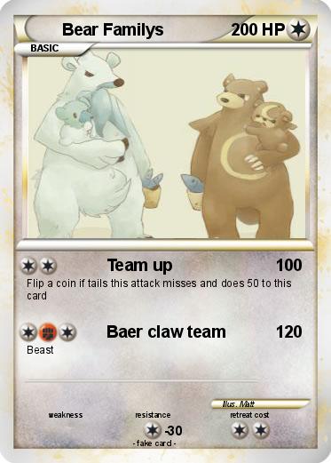 Pokemon Bear Familys
