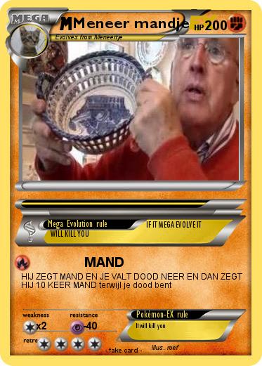 Pokemon Meneer mandje