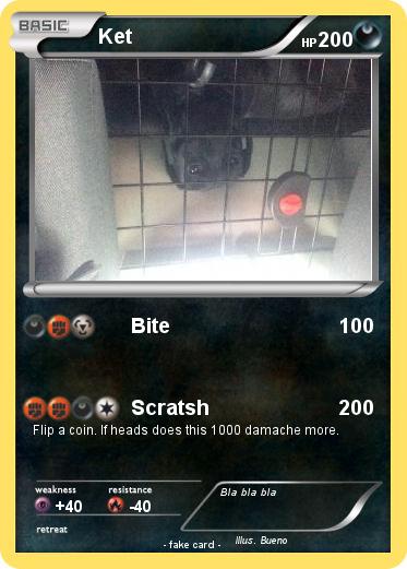 Pokemon Ket