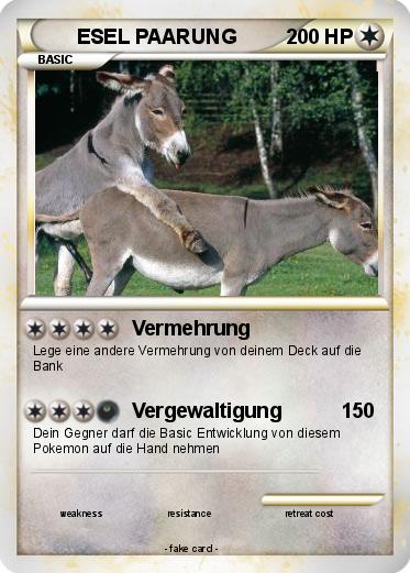 Pokemon ESEL PAARUNG