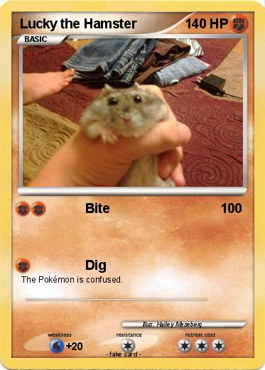 Pokemon Lucky the Hamster
