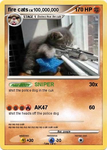 Pokemon fire cats