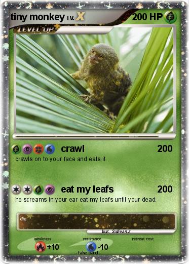 Pokemon tiny monkey